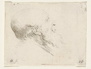 Kopf eines kahlen alten Mannes von Stefano della Bella