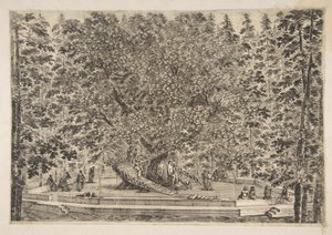 Das Baumhaus in Pratolino, ca. 1653 von Stefano della Bella