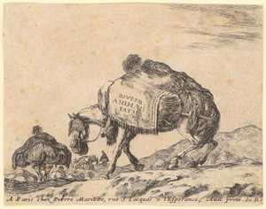 Titelblatt der Folge "Verschiedene Tiere" von Stefano della Bella