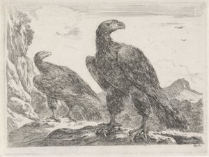 Zwei Adler mit Köpfen nach rechts von Stefano della Bella