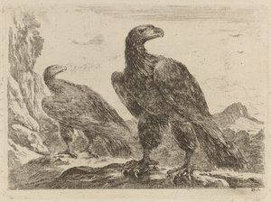 Zwei Adler, beide mit Köpfen nach rechts gedreht von Stefano della Bella