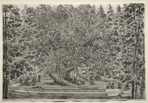 Ansichten der Villa von Pratolino: Der bewohnte Baum