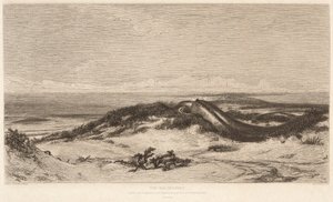 Die Seeschlange von Stephen Alonzo Schoff