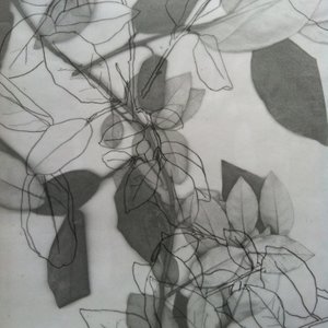 Botanisch, 2014 von Stephen Dow