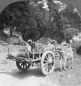 Familienreise durch den Dschungel bei Mingun, Burma, 1908
