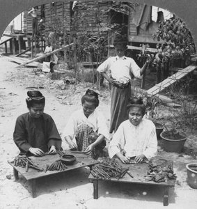 Herstellung der großen Zigarren, die von Frauen geraucht werden, Burma, 1908 von Stereo Travel Co