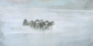 Arktisches Wolfsrudel
