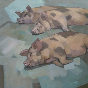 Drei schlafende Schweine