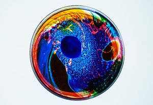 Koan, 2024 von Steve Pavlovsky