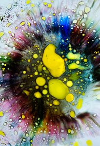 Tie-Dye-Spritzer, 2024 von Steve Pavlovsky