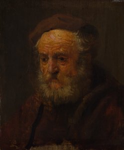 Studienkopf eines alten Mannes von Style of Rembrandt
