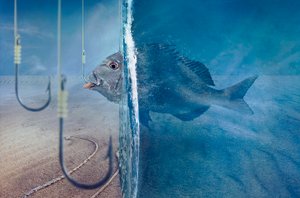 Fischgesichter Versuchung