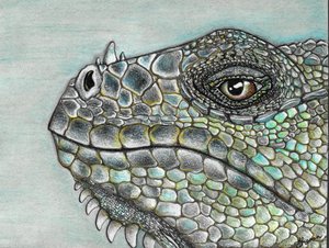 Lebhafte Leguan-Schuppen