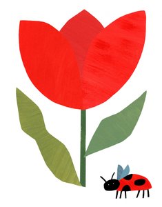 Rote Tulpe und Marienkäfer