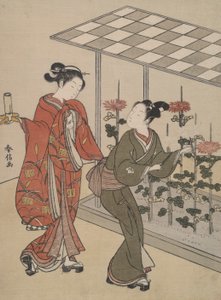 Chrysanthemen-Betrachtung von Suzuki Harunobu