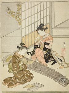 Absteigende Gänse der Koto-Brücken