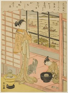 Rückkehrende Segel in Shinagawa (Shinagawa no kihan), aus der Serie "Acht modische Ansichten von Edo (Furyu Edo hakkei)" von Suzuki Harunobu