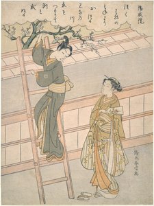 Der Beginn der Liebe von Suzuki Harunobu