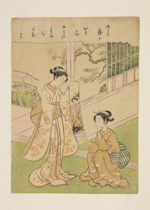 Unbekanntes Stück von Yoneyama Teiga (Farbholzschnitt) von Suzuki Harunobu