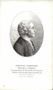 Abraham Trembley von Swiss School