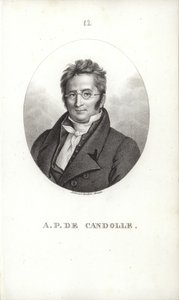 Augustin Pyramus de Candolle von Swiss School