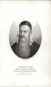 Gaspard Bauhin von Swiss School