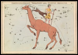 Camelopadalis, Tarandus und Custos Messium, um 1825 von Sydney Hall