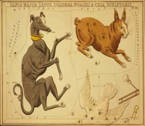 Canis Major, Lepus, Columba Noachi & Cela Sculptoris, Illustration aus 