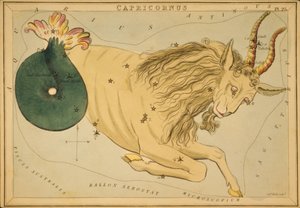 Capricornus, Illustration aus 