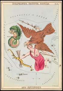 Delphinus, Sagitta, Aquila und Antinous, um 1825 von Sydney Hall