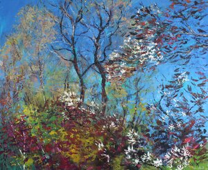 Blüten und blauer Himmel