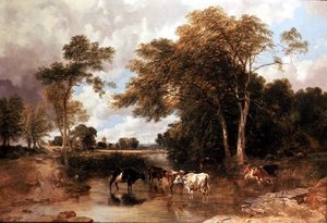 Bewaldete Flusslandschaft