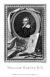 William Harvey, Arzt, 1777 von T. Cook