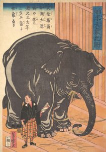 Ansicht des großen importierten Elefanten, 1863 Bunkyo 3, 4. Monat von Taguchi Yoshimori