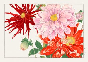 Dahlienblume aus "Seiyou Sokazufu" von Tanigami Konan