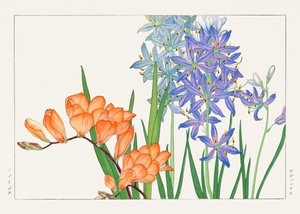 Freesienblume aus "Seiyou Sokazufu"