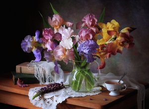 Bunte Iris-Stillleben von Tatyana Skorokhod