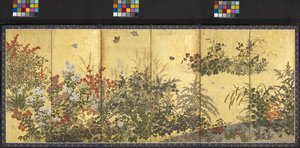 Blumen und Schmetterlinge von Tawaraya Sotatsu