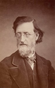 Porträt von John Peter Lesley