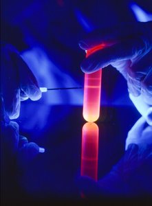 Extraktion von Nukleotiden der RNA aus einem Kunststoff-Zentrifugenröhrchen von Ted Spiegel