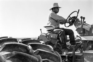 Familienbauer Ed Ker auf der A.M. Ker Ranch ist ein landwirtschaftlicher Siedler, der Alfalfa anbaut
