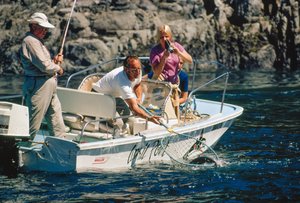 Filmaufnahme seines Fangs, ein Angler holt einen Lachs in Bute Inlet ein