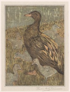 Ente mit Küken am Wasser
