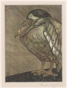Nachtreiher im Regen von Theo van Hoytema (signed by artist)
