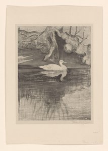 Teich mit Ente