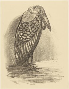 Marabu im Regen von Theo van Hoytema