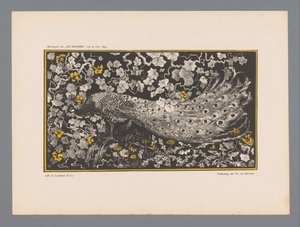 Pfau