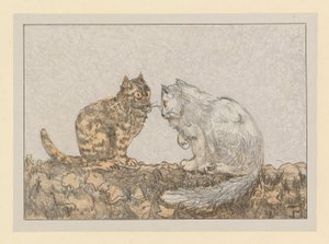 Zwei Katzen auf einer Mauer