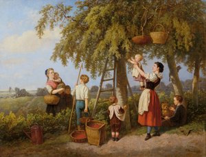 Die Kirschenernte