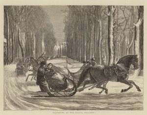 Schlittenfahrt in Den Haag, Holland